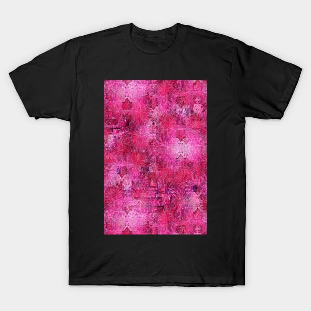 Today I Saw Fireworks T-Shirt by HenriYoki